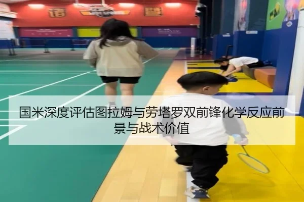 国米深度评估图拉姆与劳塔罗双前锋化学反应前景与战术价值