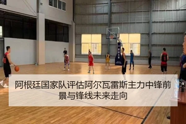 阿根廷国家队评估阿尔瓦雷斯主力中锋前景与锋线未来走向 - kaiyun